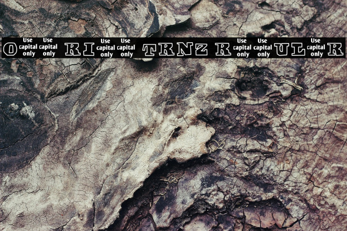 Off Ride Trnz Regular Example 1