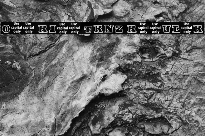 Off Ride Trnz Regular Font examples