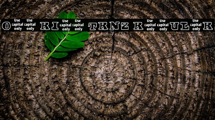 Off Ride Trnz Regular Example 2