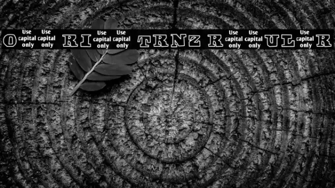 Off Ride Trnz Regular Font examples