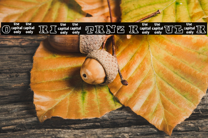 Off Ride Trnz Regular Example 3