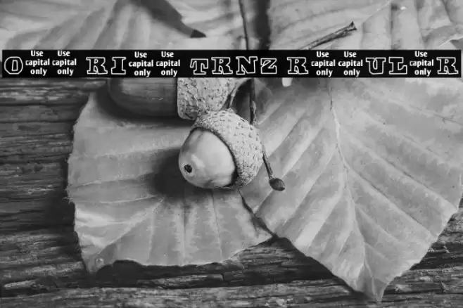 Off Ride Trnz Regular Font examples