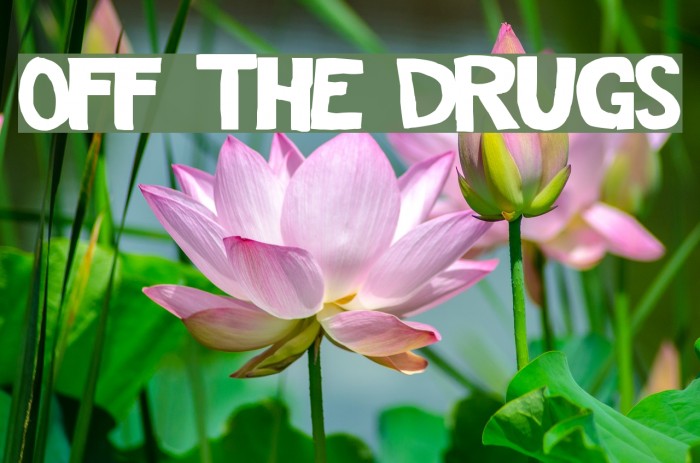 Off The Drugs Font examples