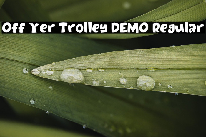 Off Yer Trolley DEMO Regular Example 1