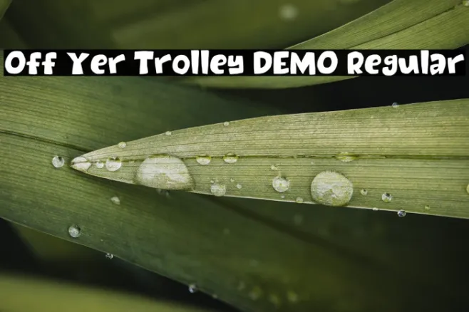 Off Yer Trolley DEMO Regular Example 1