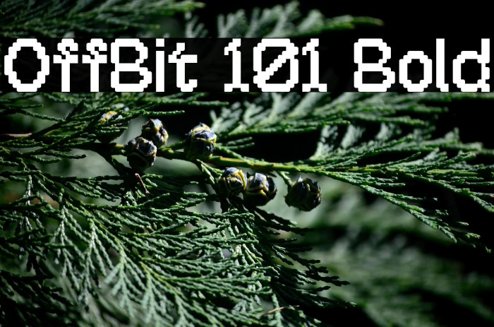 OffBit 101 Bold Example 2
