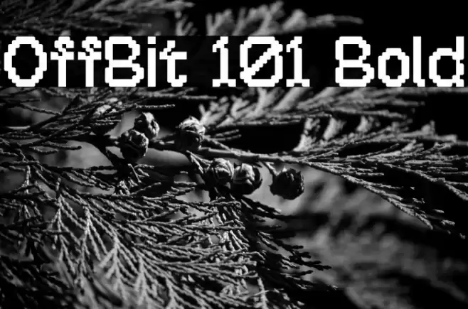 OffBit 101 Bold फ़ॉन्ट examples