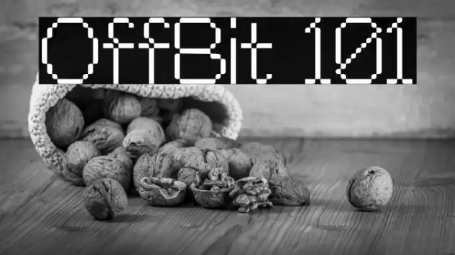 OffBit 101 Polices examples