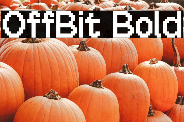 OffBit Bold Example 2