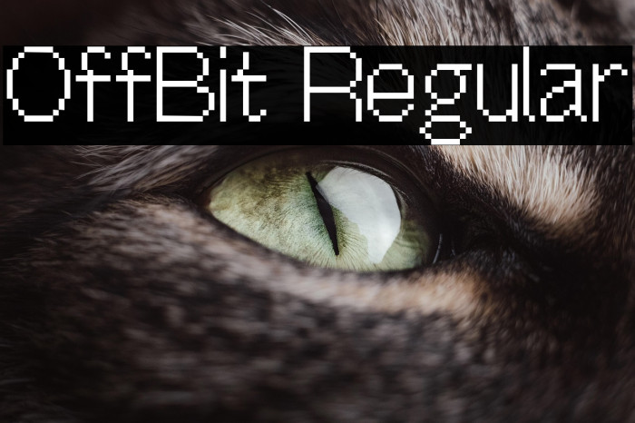 OffBit Regular Example 1