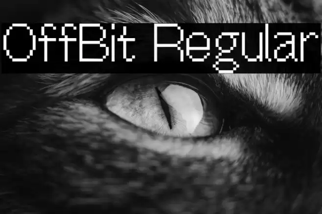 OffBit Regular Font examples