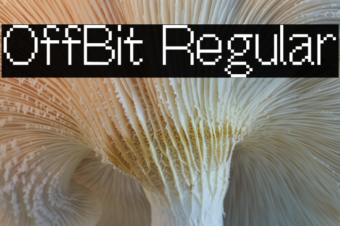 OffBit Regular Example 2