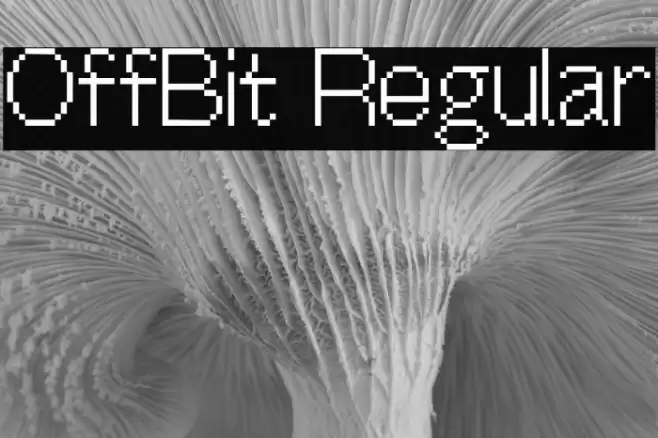 OffBit Regular Font examples