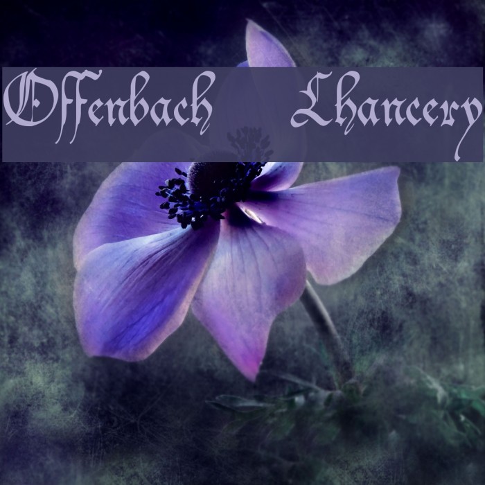 Offenbach Chancery Font examples