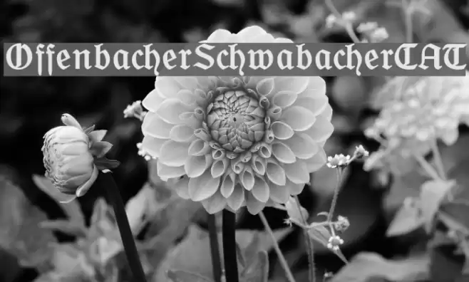 OffenbacherSchwabacherCAT Шрифта examples