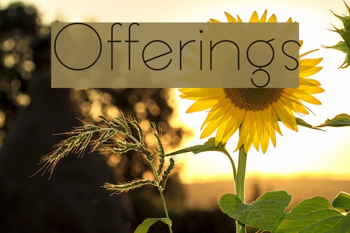Offerings Font examples