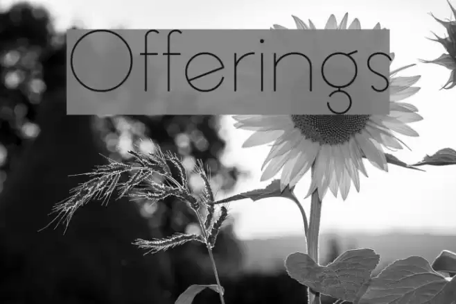 Offerings خط examples