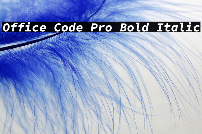Office Code Pro Bold Italic Example 2