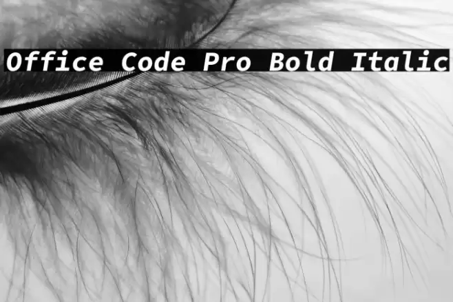 Office Code Pro Bold Italic फ़ॉन्ट examples
