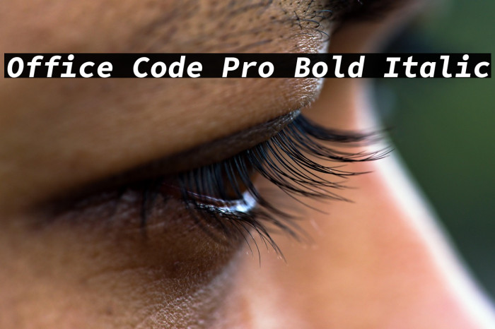 Office Code Pro Bold Italic Example 3