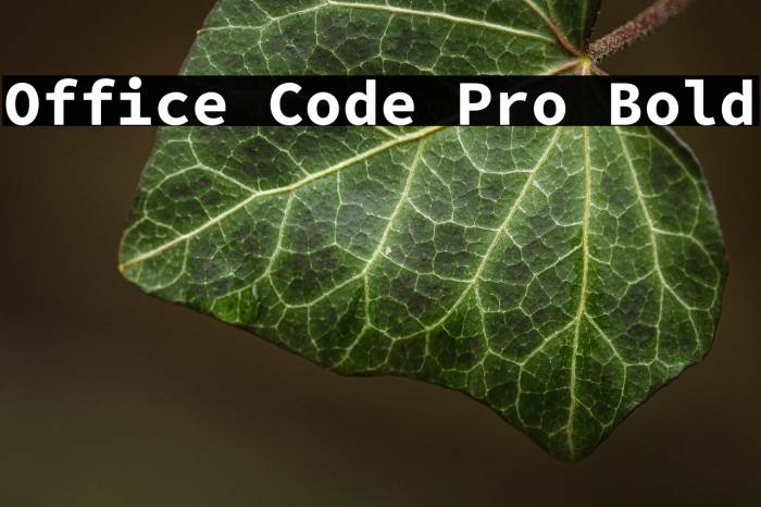 Office Code Pro Bold Example 2
