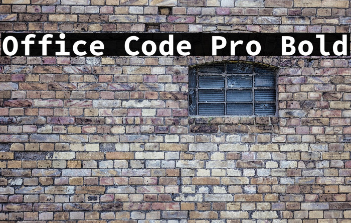 Office Code Pro Bold Example 3