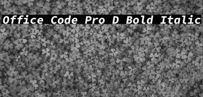 Office Code Pro D Bold Italic Font examples