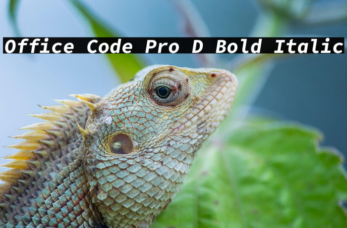 Office Code Pro D Bold Italic Example 3