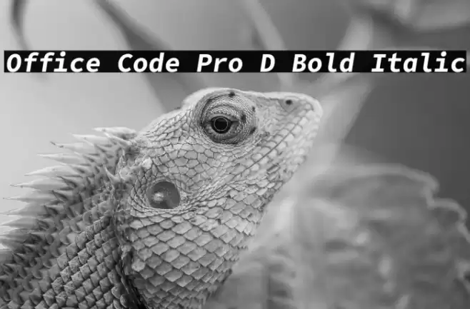 Office Code Pro D Bold Italic Font examples