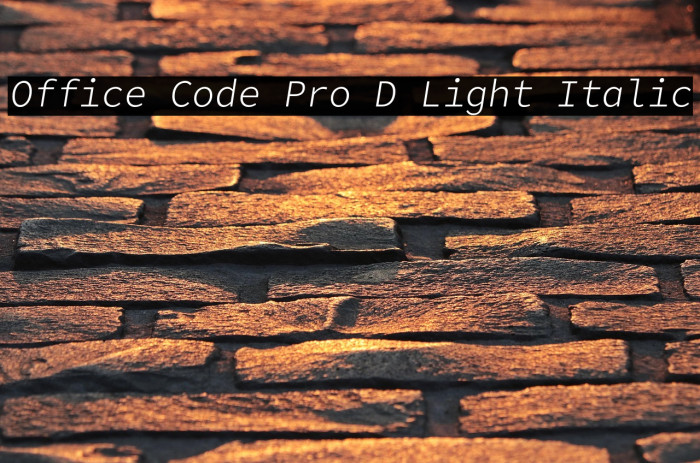 Office Code Pro D Light Italic Example 2