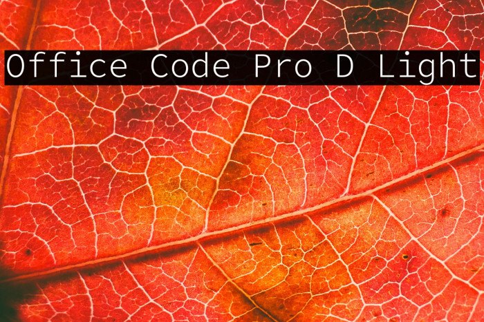 Office Code Pro D Light Example 3