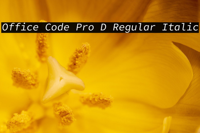 Office Code Pro D Regular Italic Example 2