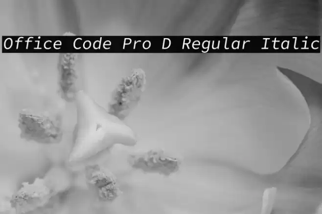 Office Code Pro D Regular Italic Font examples