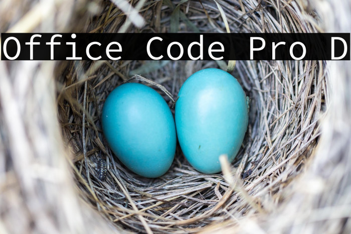 Office Code Pro D Example 3