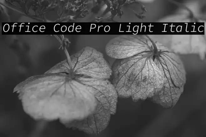 Office Code Pro Light Italic خط examples