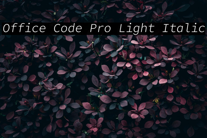 Office Code Pro Light Italic Example 2