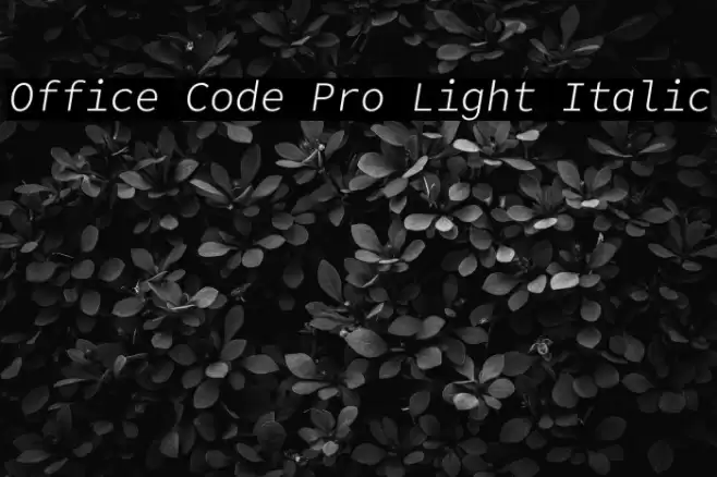 Office Code Pro Light Italic خط examples