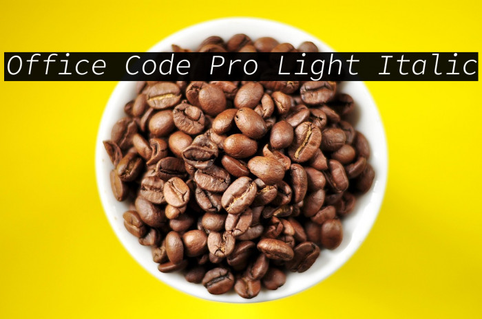 Office Code Pro Light Italic Example 3
