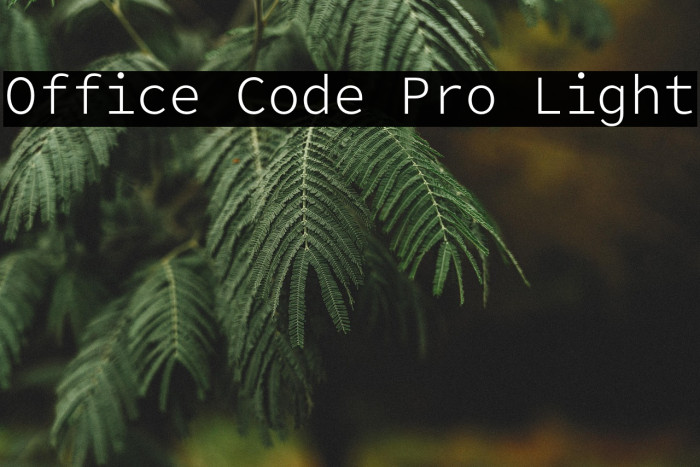 Office Code Pro Light Example 1