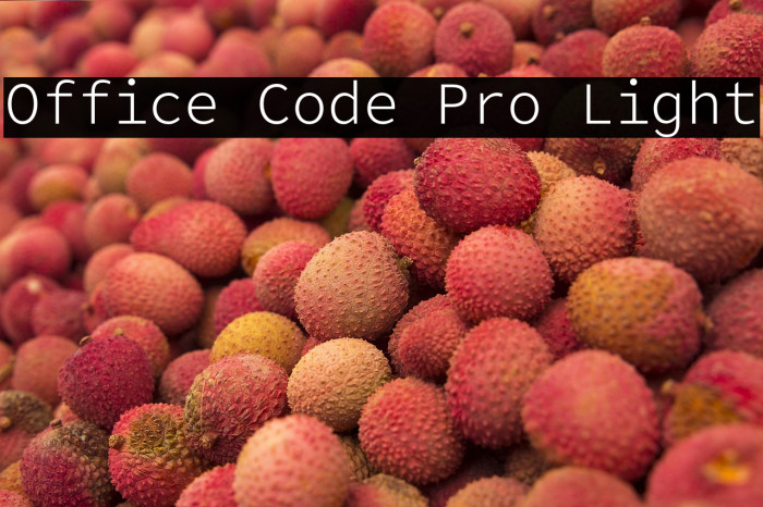 Office Code Pro Light Example 3