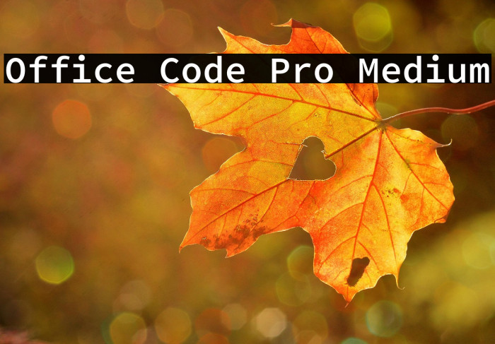Office Code Pro Medium Example 2