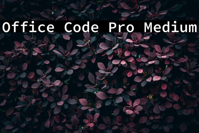 Office Code Pro Medium Example 3