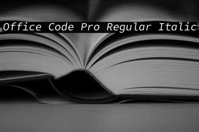 Office Code Pro Regular Italic خط examples
