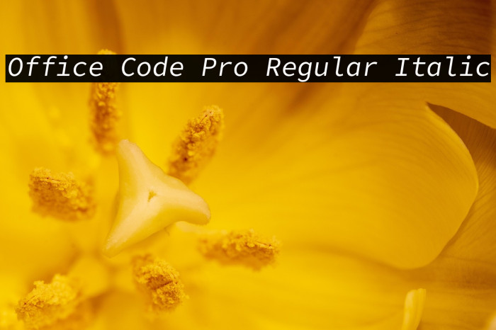 Office Code Pro Regular Italic Example 3
