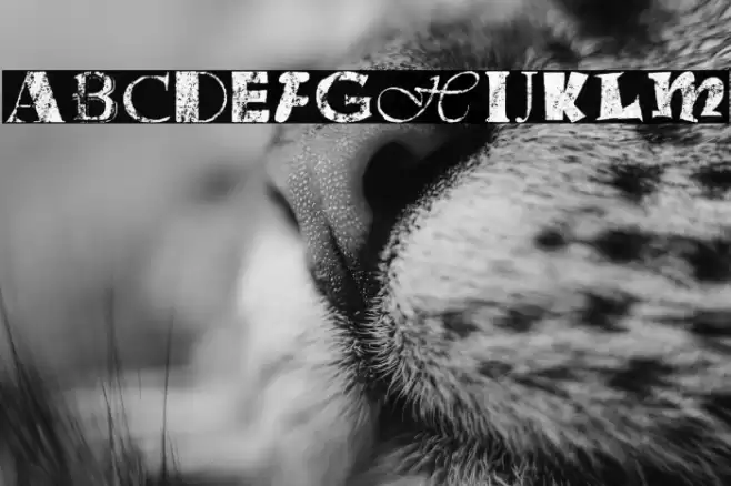 Office Junk Fonte examples