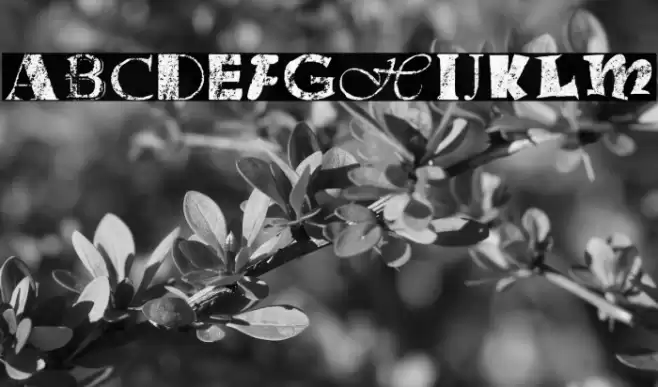 Office Junk Fonte examples