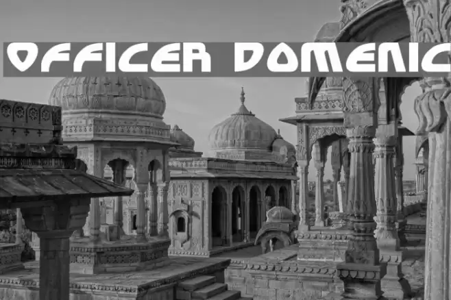 Officer Domenic Font examples