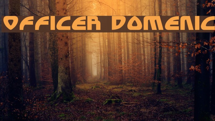 Officer Domenic Schriftart examples