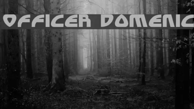 Officer Domenic Font examples