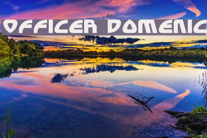 Officer Domenic Schriftart examples